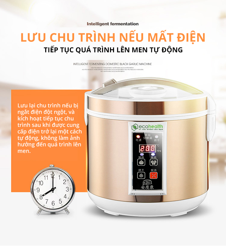 Máy làm tỏi đen cao cấp tự động làm tỏi từ 7 - 12 ngày