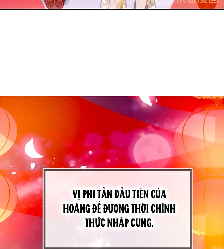 trẫm cũng không muốn quá khí phách chapter 49 65