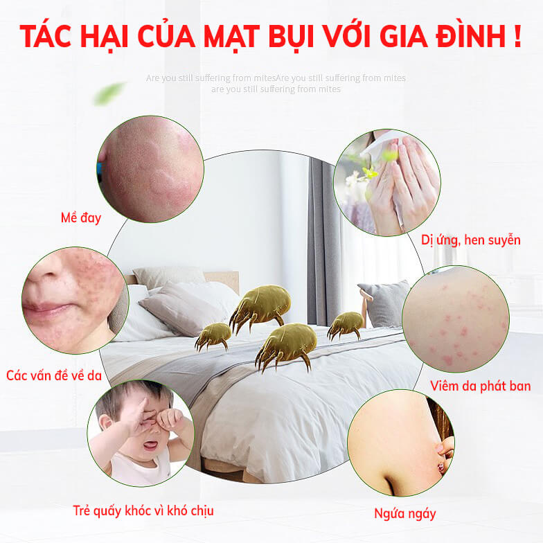 Gói 2 Túi Thơm Thảo Dược Lót Gối Đệm Duolamao Diệt Mạt Bụi Chống Ngứa Giúp Bạn Ngủ Ngon