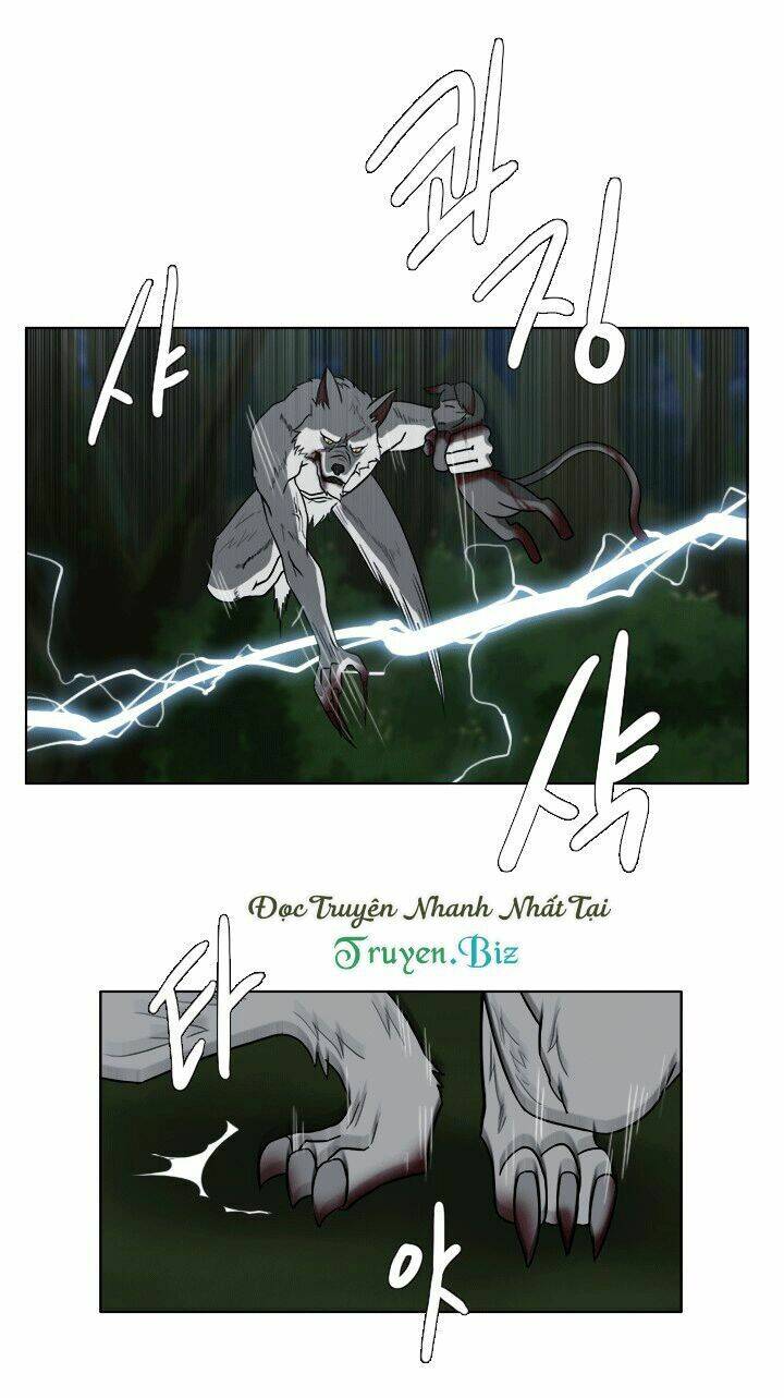 m. m. g. chapter 11 12