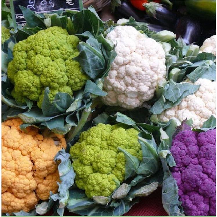 Combo 4 gói hạt giống súp lơ các loại-gói 1gram-tặng kèm gói phân bón lót