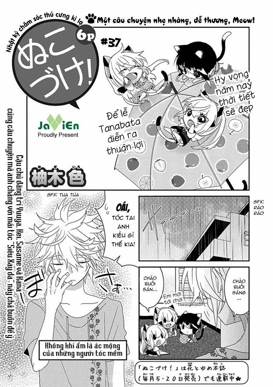nukoduke! chapter 37 4
