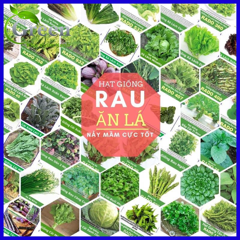 Hạt Giống Rau Ăn Lá Tổng Hợp Dễ Trồng, Nảy Mầm Cao