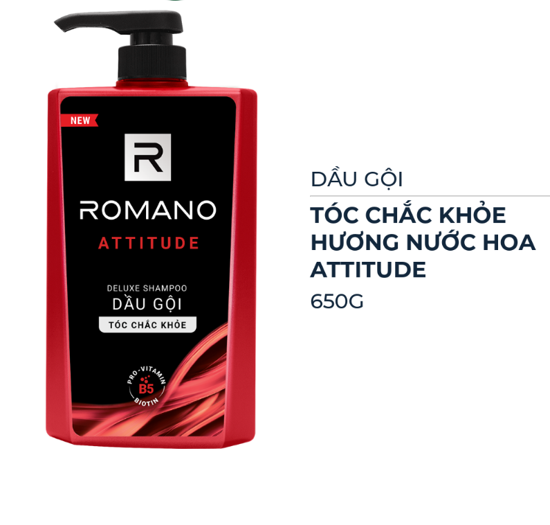 B - Dầu Gội Cao Cấp Cho Nam Romano Attitude (650g)