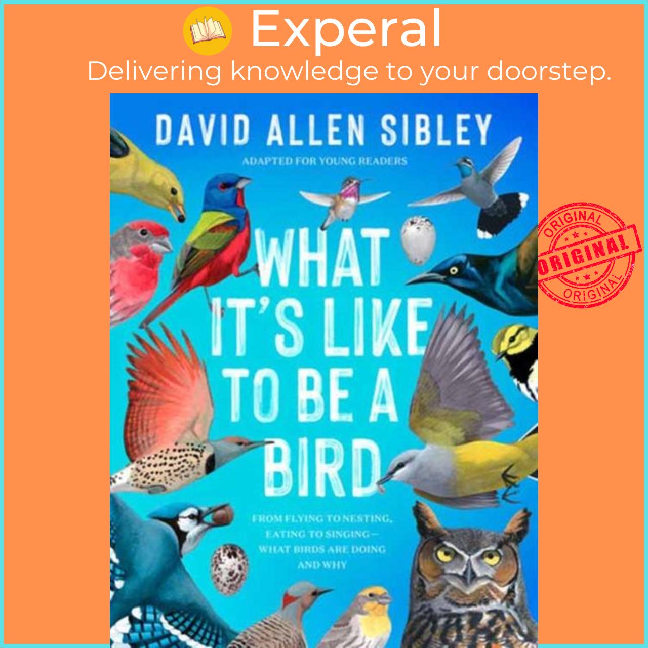 Sách - What It's Like to Be a Bird (Adapted for Young Readers) by David Allen Sibley (UK edition, hardcover)