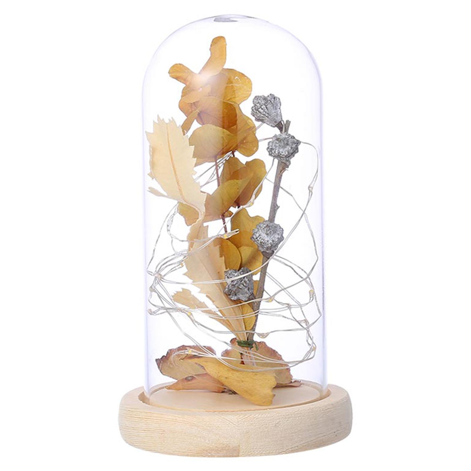 Trang trí nội thất đèn ngủ thủy tinh có đèn lấp lánh