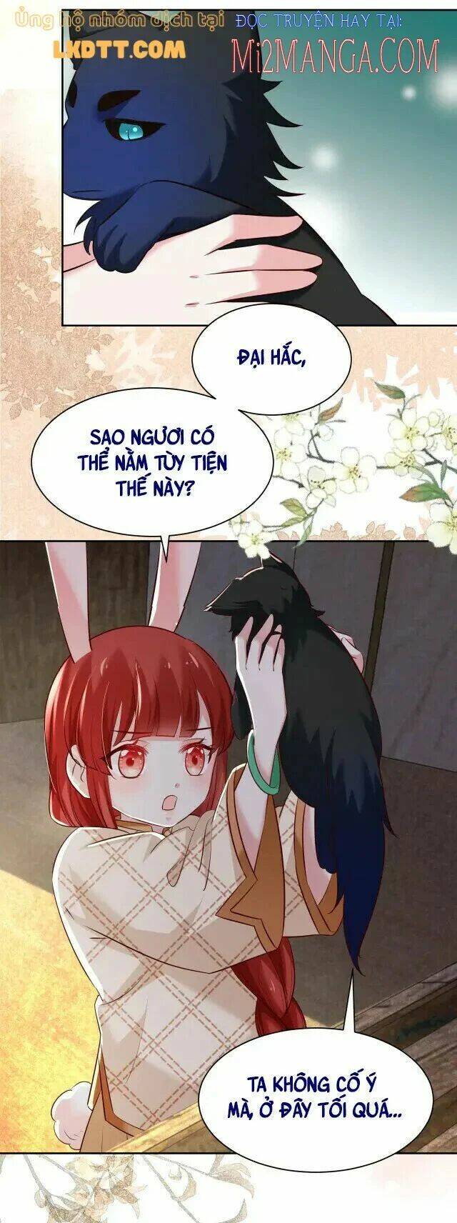 hắc hóa nam chính trực tuyến nuôi thỏ chapter 40 20