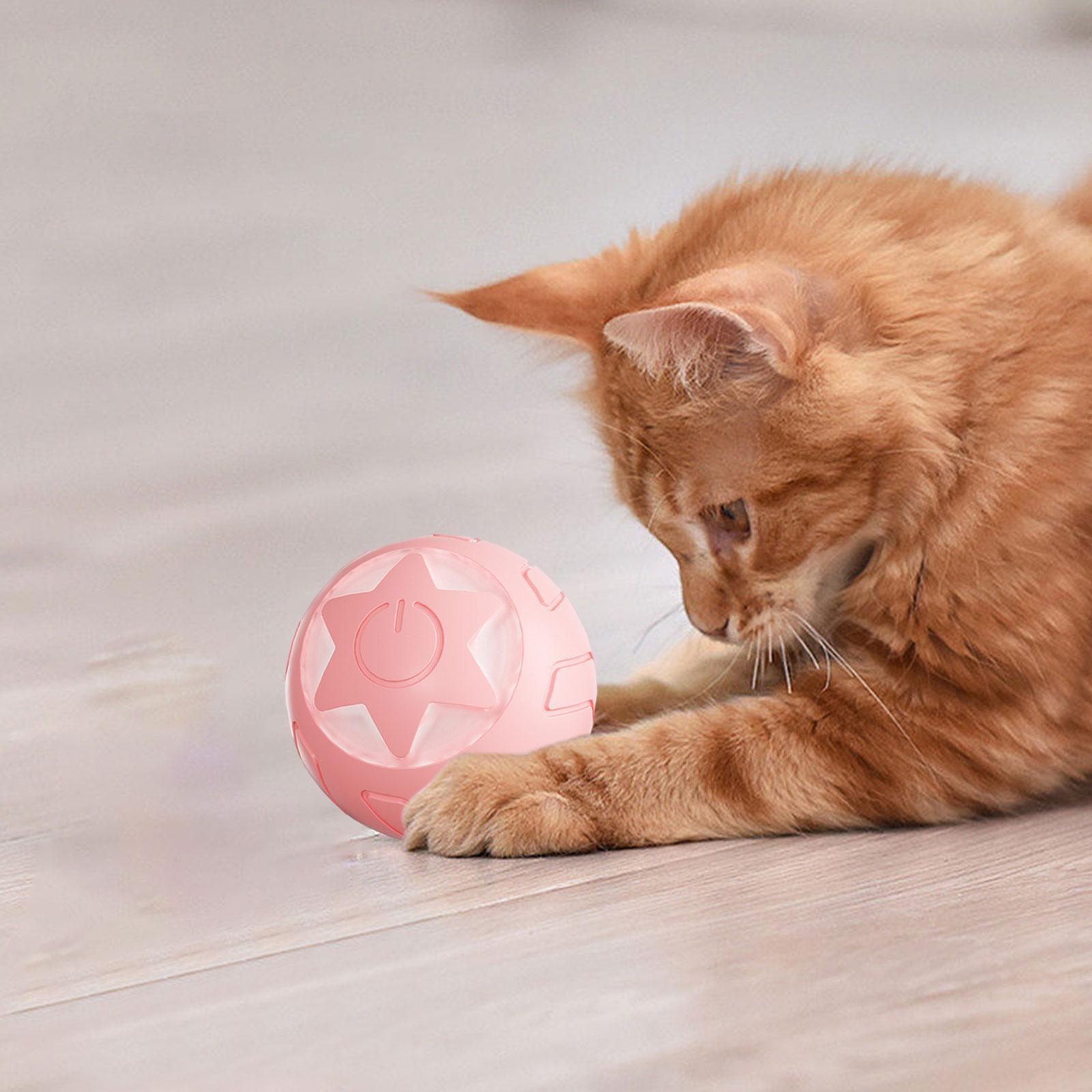 Pet Interactive Cat Toys Ball Cats Dog Playing Ball for Indoor Cats Exercise