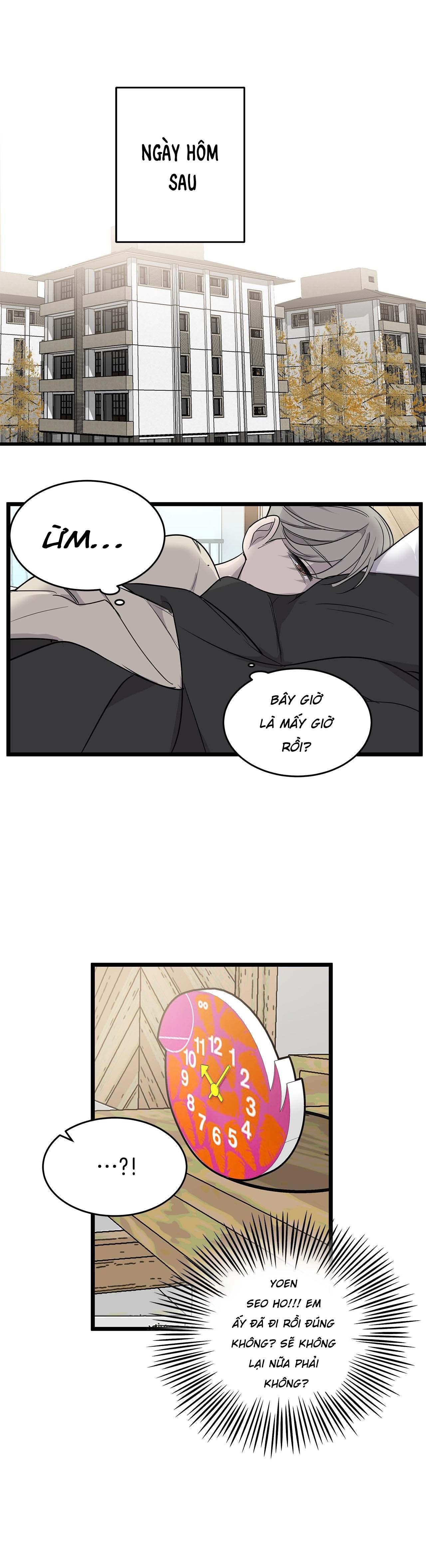 sao notp lại thành thật rồi? chapter 11 23