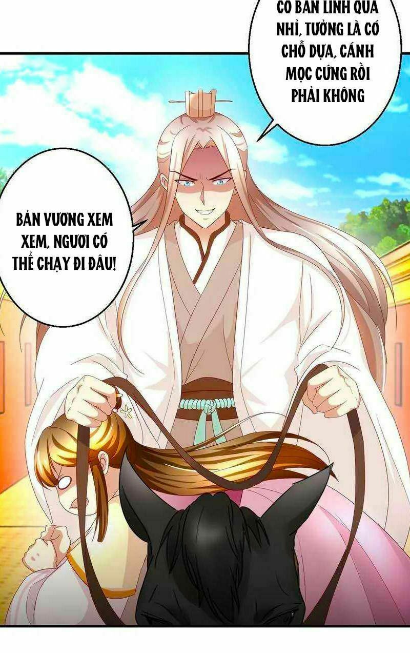 thuần phi ký chapter 37 4