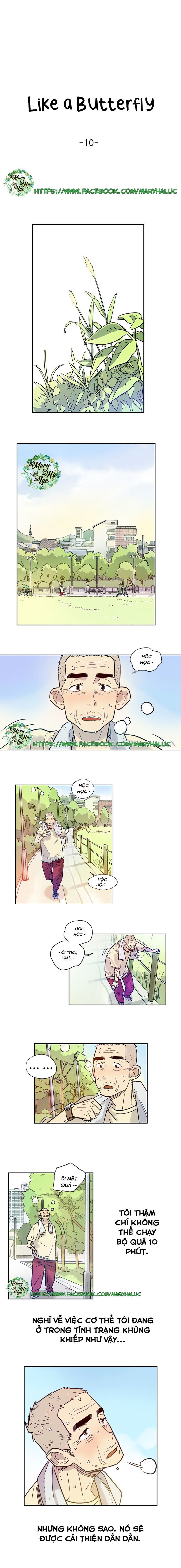 tôi muốn bay như một con bướm chapter 10 1