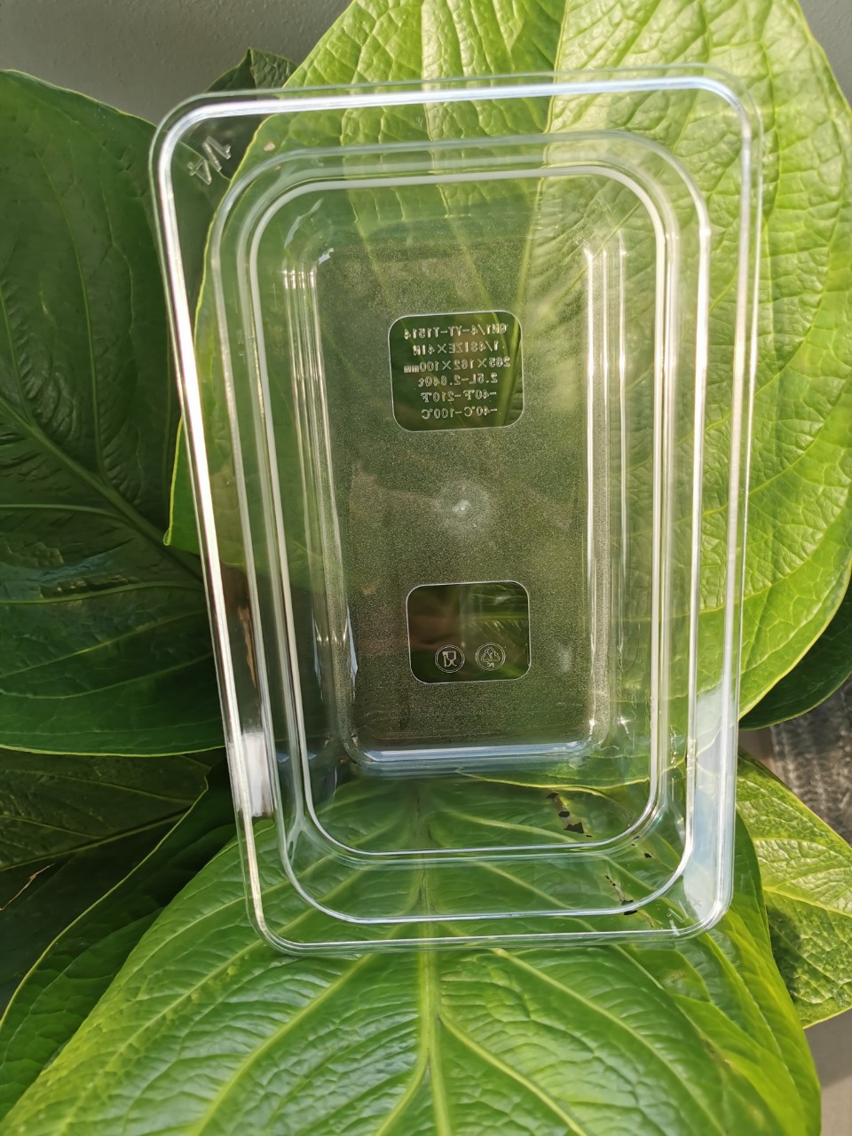 Khay GN mika 1/4×100 đựng topping đựng kem TẶNG 1 Rổ nhựa hình TIM