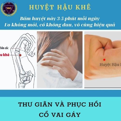 Khóa học Video Online Thư giãn và phục hồi CỔ VAI GÁY - Trung Tâm Chăm Sóc Sức Khỏe VMC