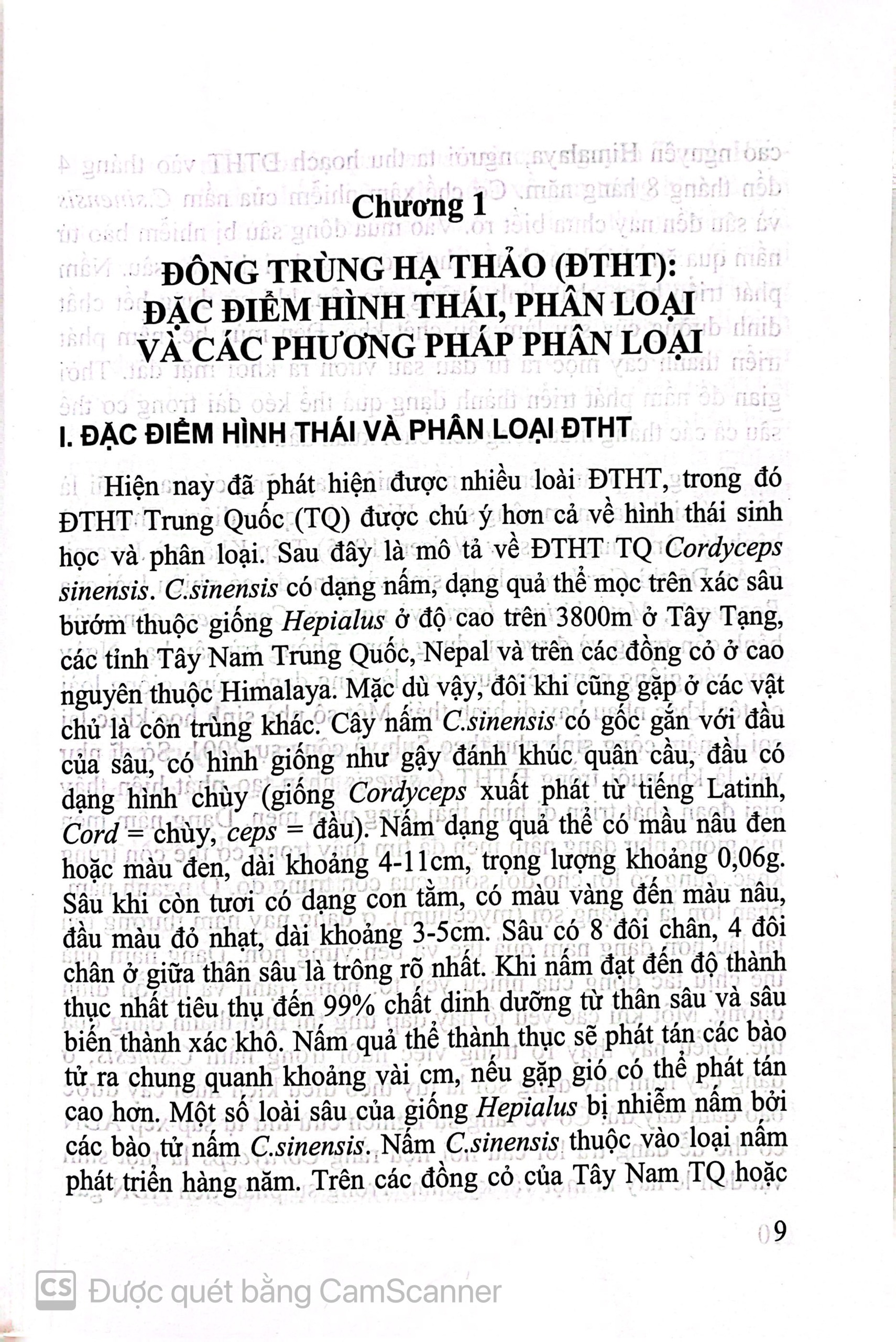 Benito - Sách - Đông trùng hạ thảo - NXB Y học