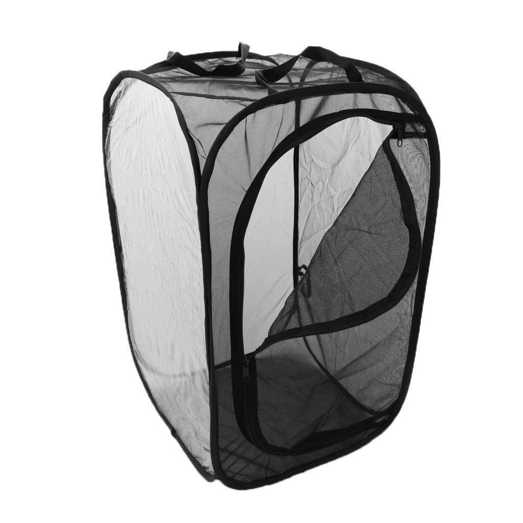 2 Pcs Insect Butterfly Raising Habitat -up Terrarium Insect Mesh Cage