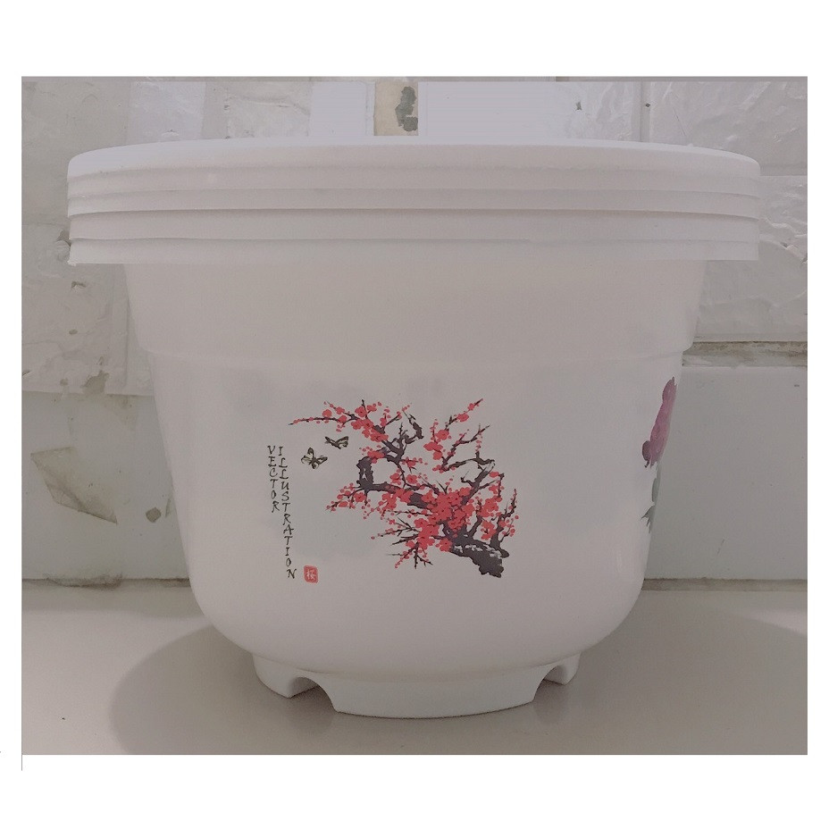 5 Châu Nhựa BỐN MÙA Hình Tròn Màu Trắng A280x190