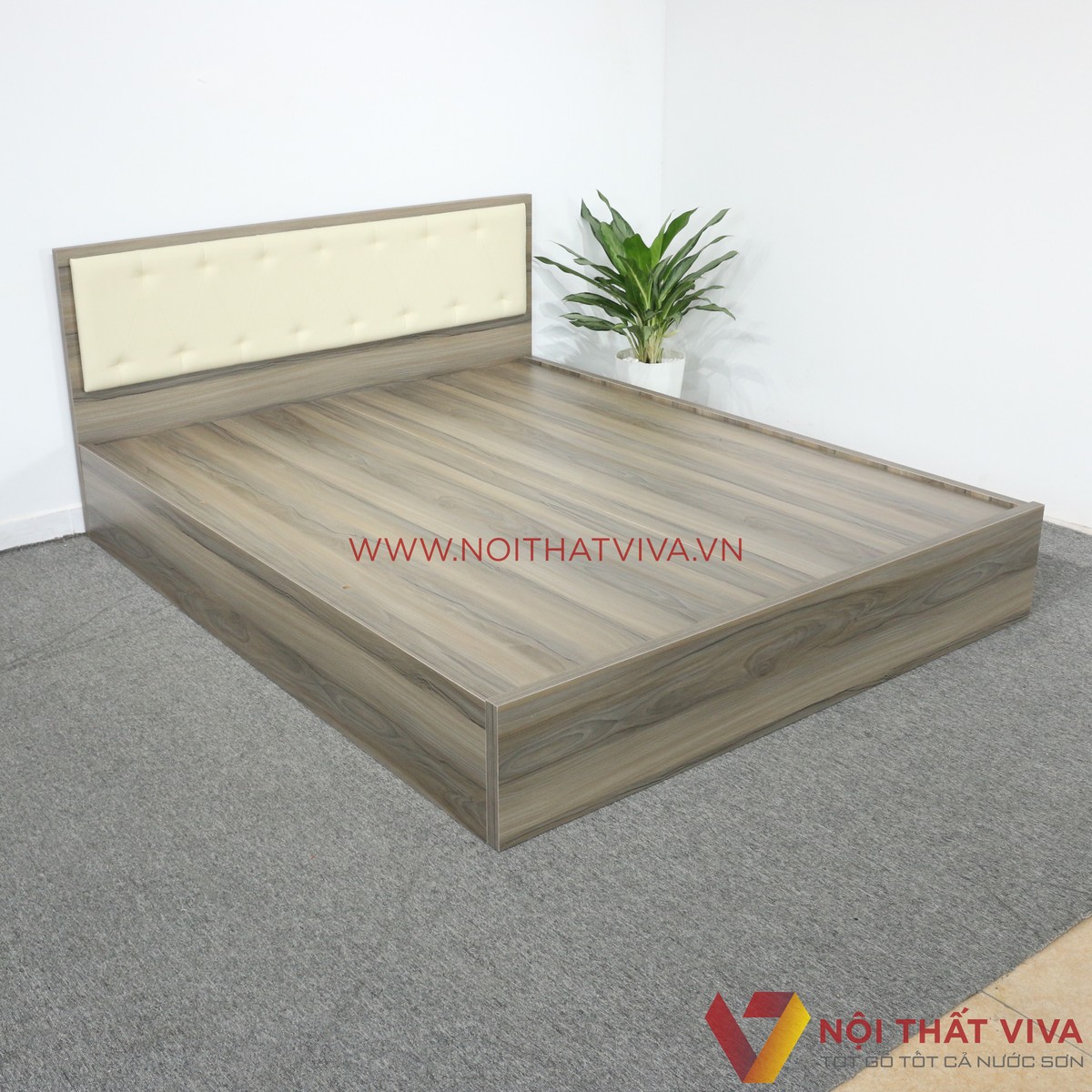 Giường Ngủ Gỗ MDF Melamine Màu Nết Có Đầu Nệm Kem Đẹp