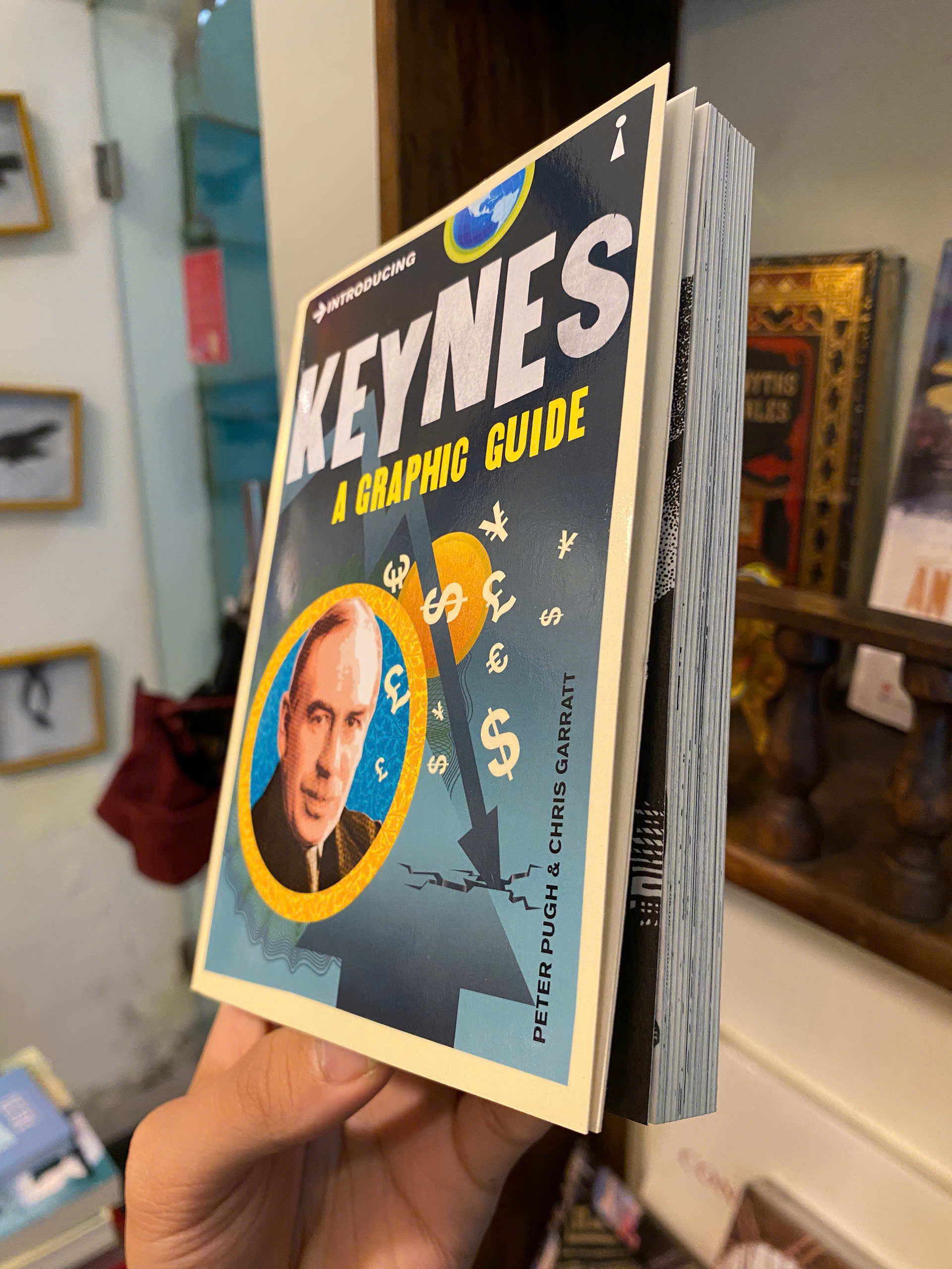 Sách - Introducing Keynes: A Graphic Guide by Peter Pugh | Economics English Book / Ngoại văn