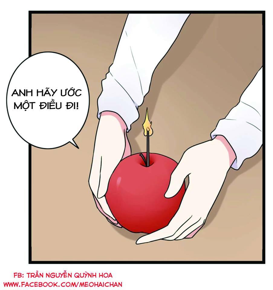 tình yêu! bắt đầu từ ngày hôm nay chapter 15 41