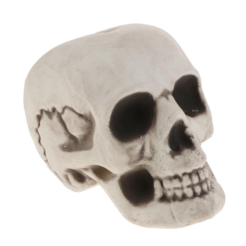 2X Plastic Skull Head Figurine Animal Skeleton Model Statue ...