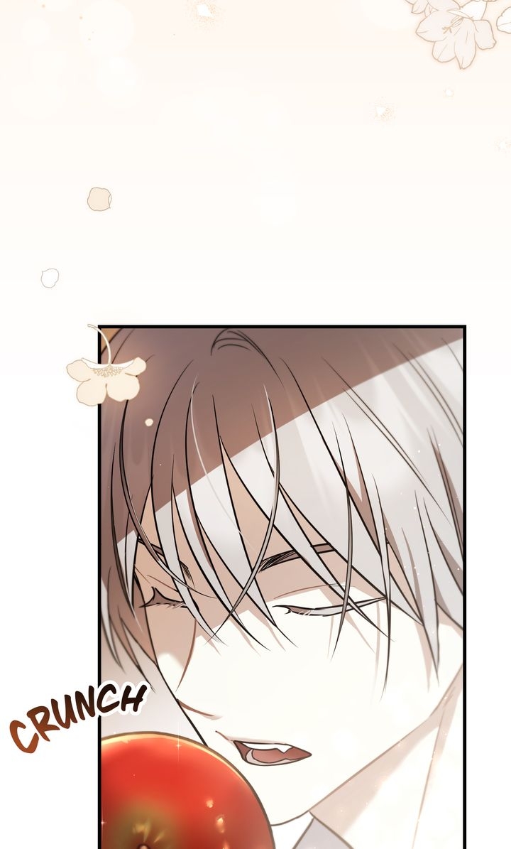 cái bóng trong đêm chapter 41.1 36