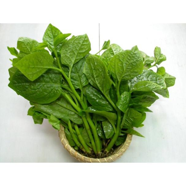 Hạt giống Mồng Tơi 20g. Rất dễ chăm sóc