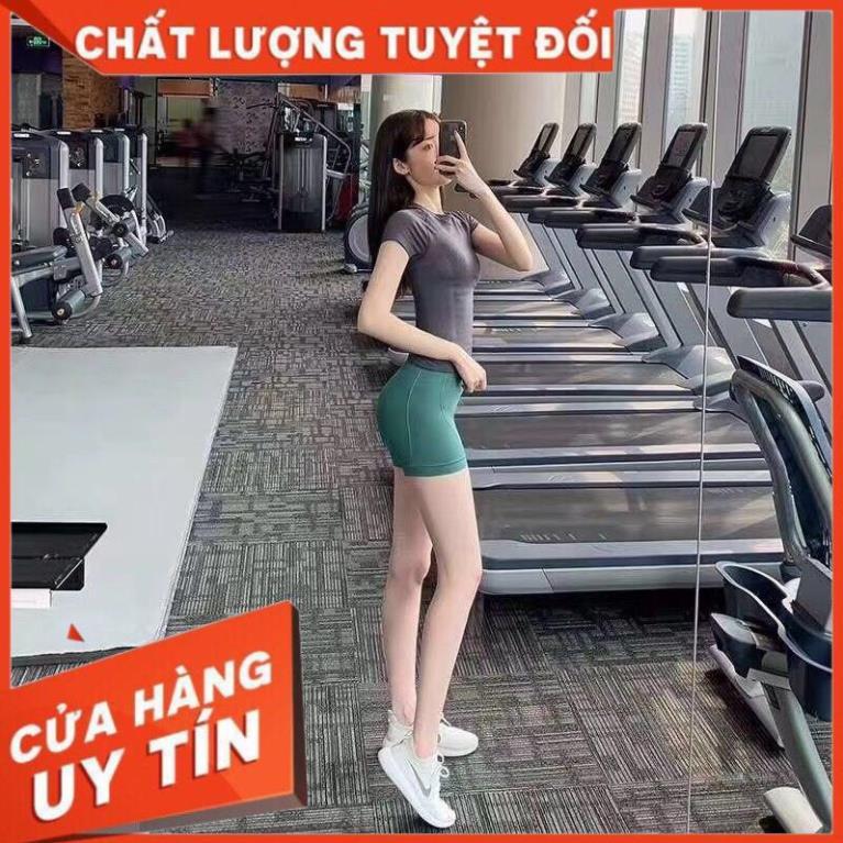 Quần tập Gym Nữ Đùi Lưng Cao -đồ tập gym nữ Hàng Cao Cấp 208