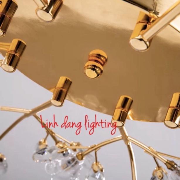 Đèn trần hoa DT DDT