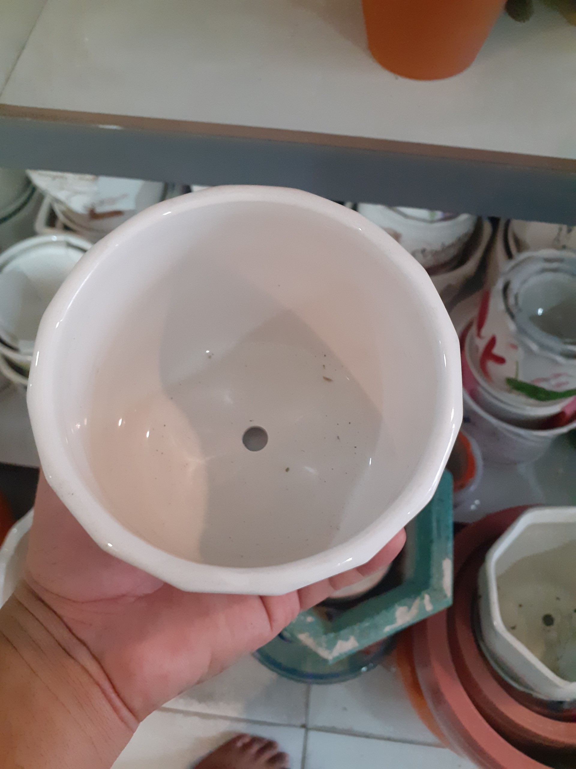 Chậu sứ tròn kèm dĩa đôi chim uyên ương giữa mùa xuân.