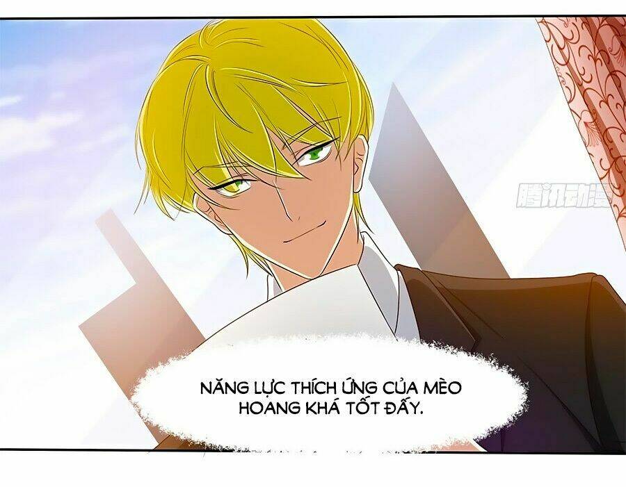 chủ tịch và nữ sát thủ chapter 12 5