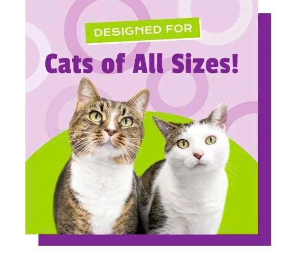 PET NATRALS VIÊN NHAI BỔ SUNG LYSINE CHO MÈO - L-LYSINE HỖ TRỢ SỨC KHỎE & CHỨC NĂNG MIỄN DỊCH túi 60 viên