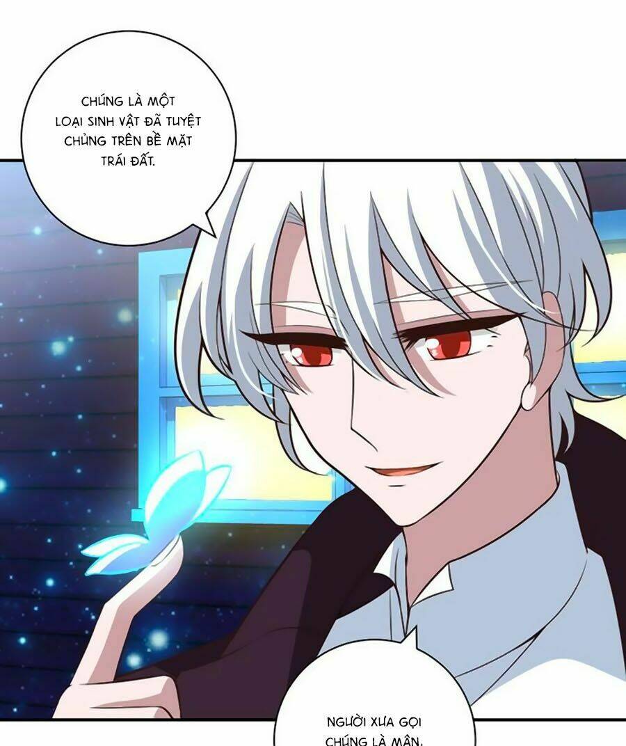 người yêu khát máu của tôi chapter 66 3