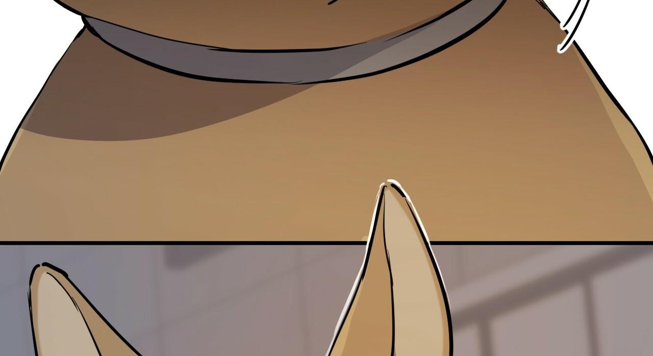 đàn thỏ của habibi chapter 47 291