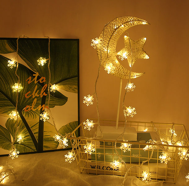 Đèn Led Trang Trí Bông Tuyết Dài 6M - 40 Bóng Trang Trí Noel Lễ Tết