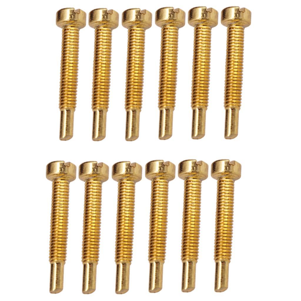 12 Pieces Pickup Mounting Screws for Electric Guitar Humbucker Black