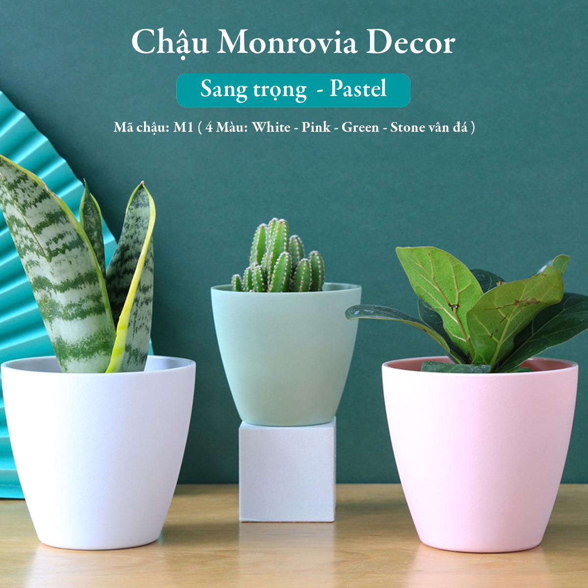 Chậu trồng cây mini MONROVIA cho sen đá, cây cảnh, hoa nhí, xương rồng, bonsai để bàn, ban công