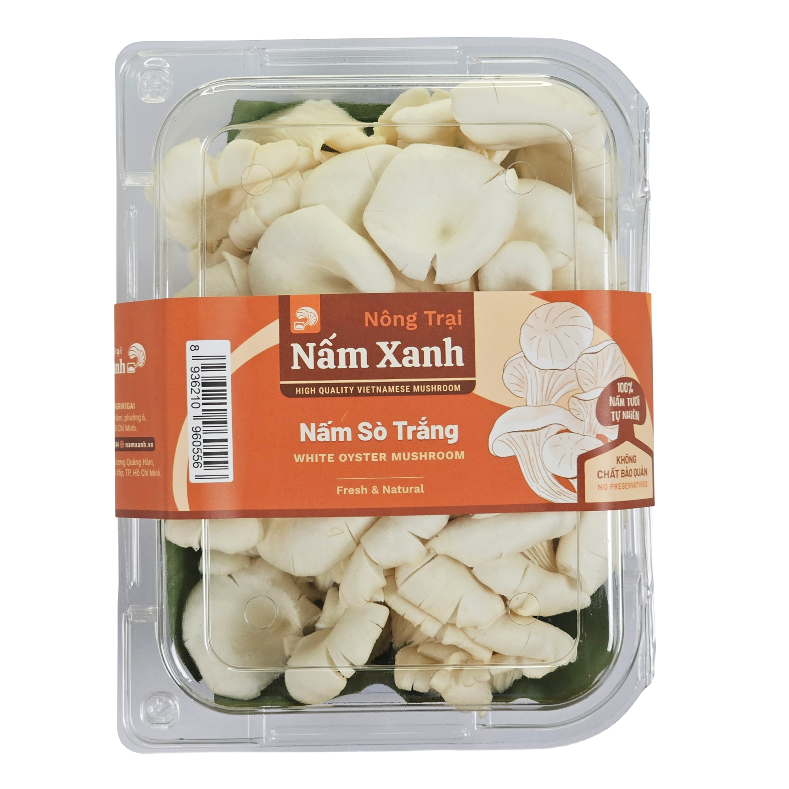 Nấm Sò Trắng Tươi 1kg - Nông Trại Nấm Xanh