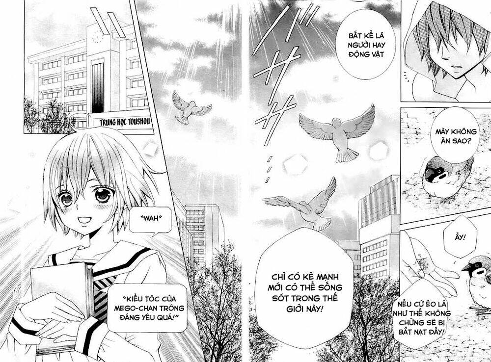 cuộc gặp gỡ diệu kỳ chapter 26 5