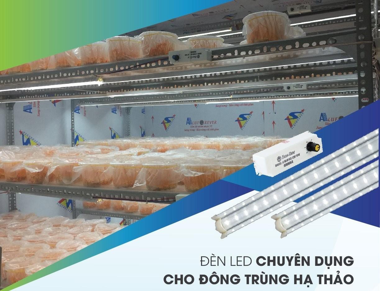 Đèn nuôi cấy Đông trùng hạ thảo và nấm chính hãng Rạng Đông NCM 120/16W Dimming, tuổi thọ 20000h