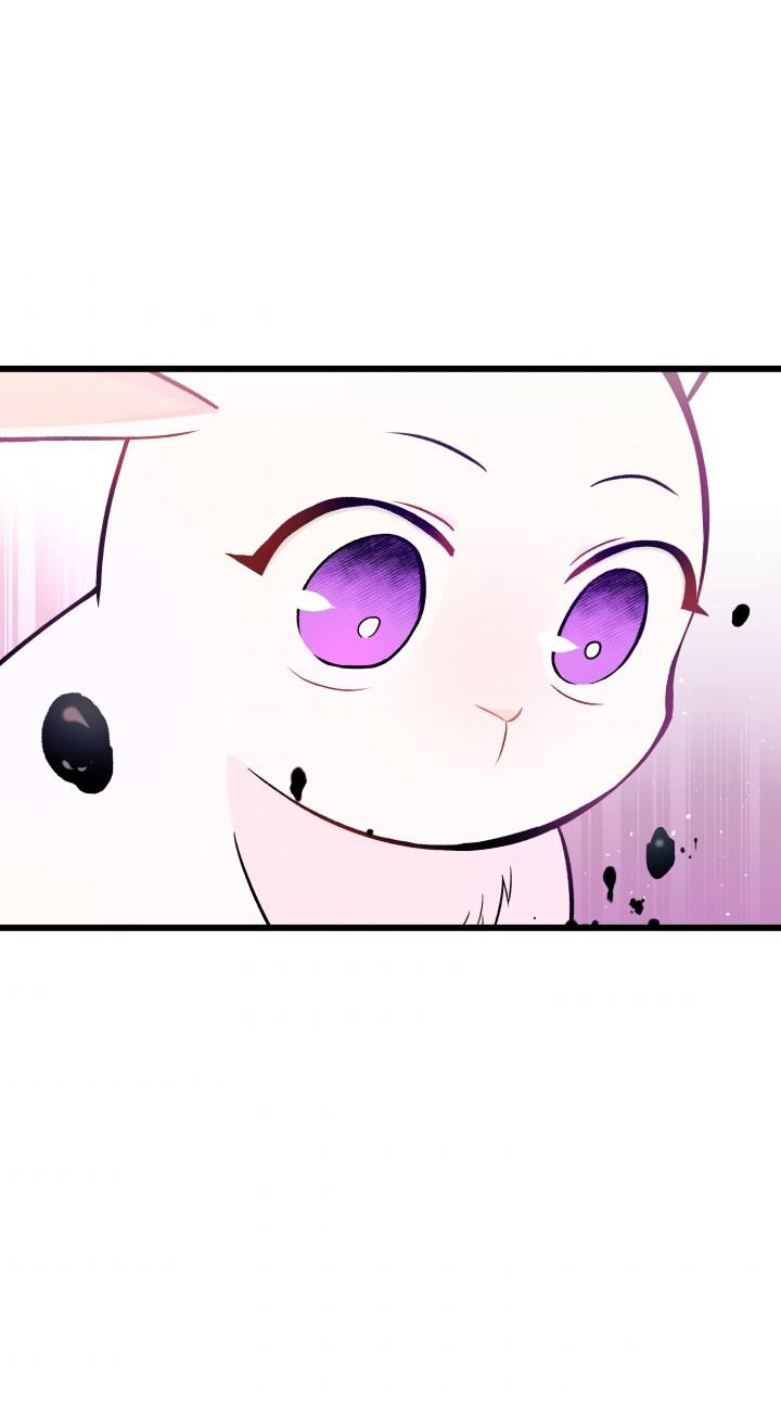 mối liên kết giữa báo đen và bé thỏ chapter 10 37