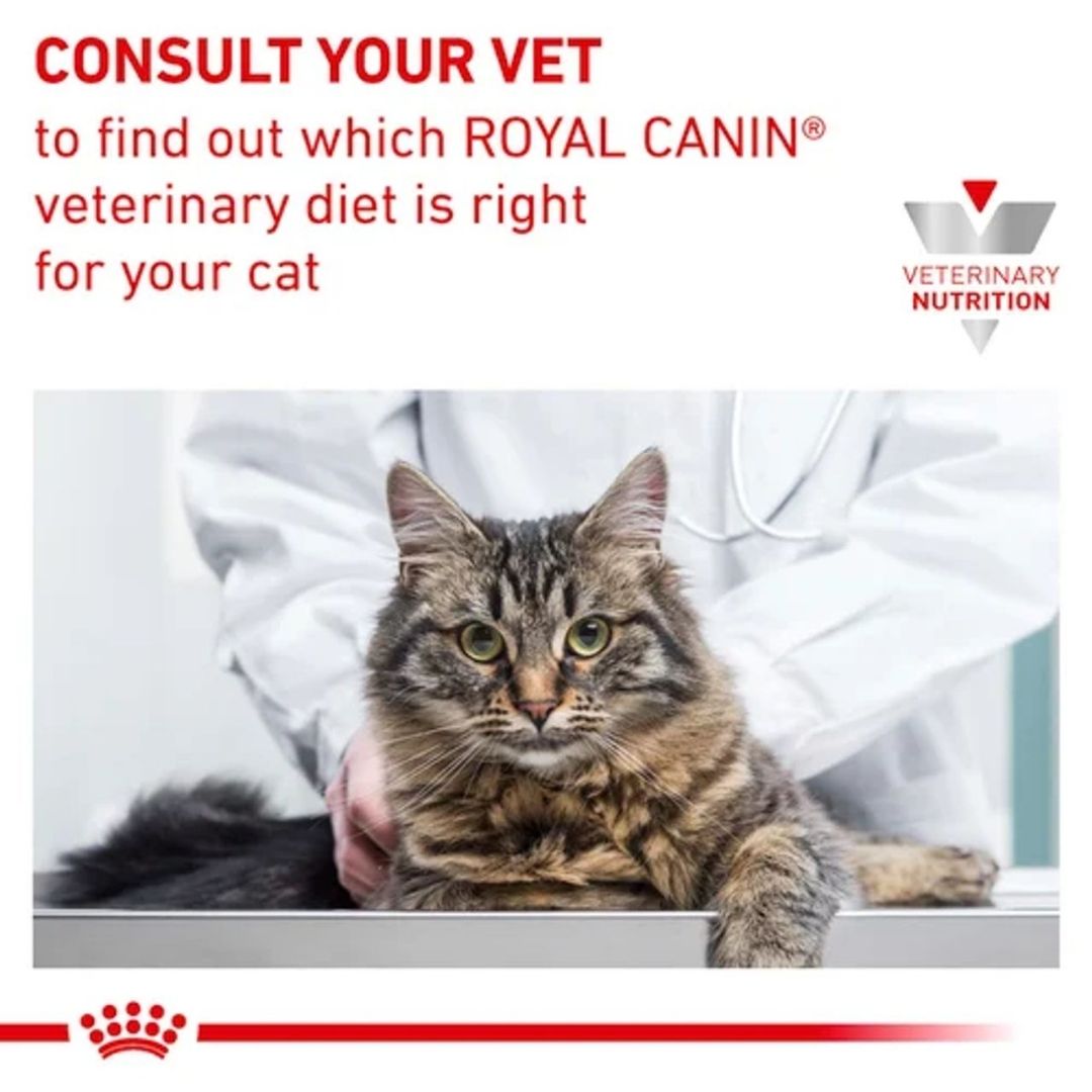 Pate Thức ăn ướt Royal Canin Renal cho mèo bị suy thận