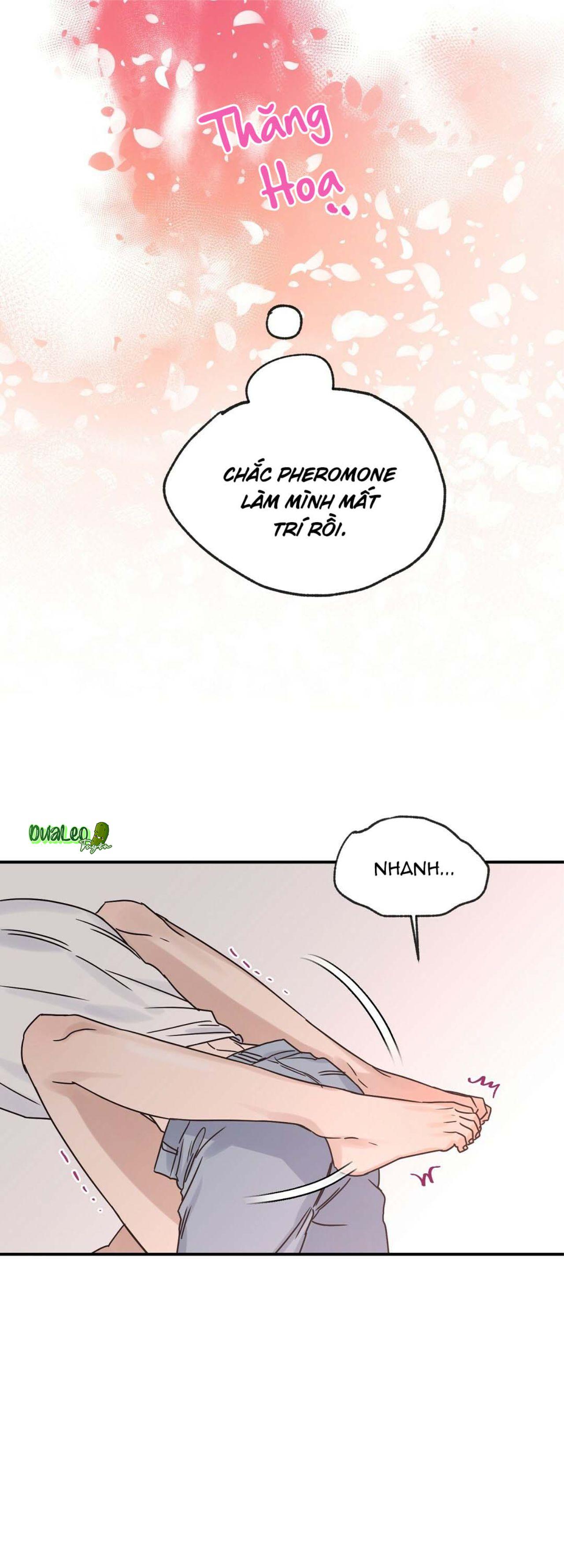 omega complex (end) chapter 19 26