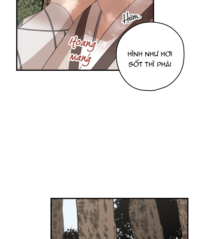 đường hoa liên kiều rơi chapter 23 45