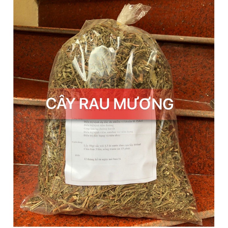 Cây rau mương khô