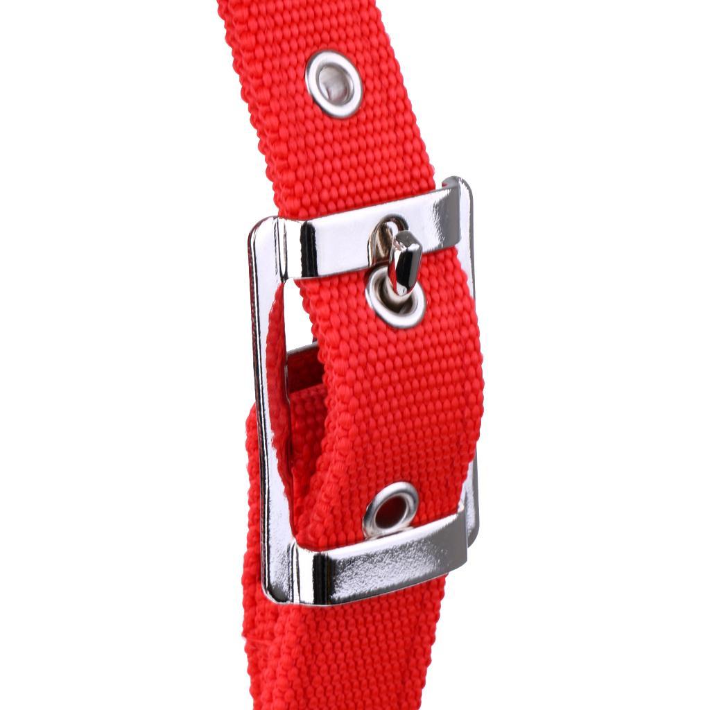 Soft Padded Adjustable Horse Headcollar  + 2.5 Meters Lead Rope