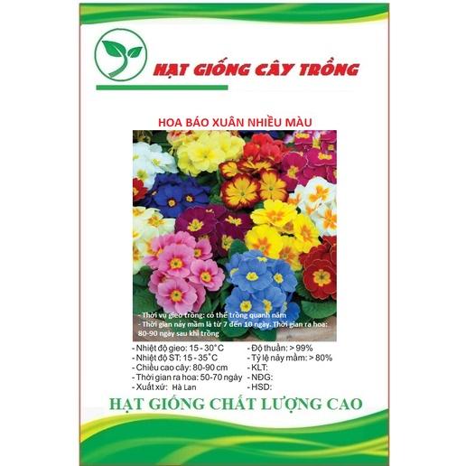 Hạt Giống Hoa Báo Xuân Nhiều Màu CT387 - Gói 50 hạt