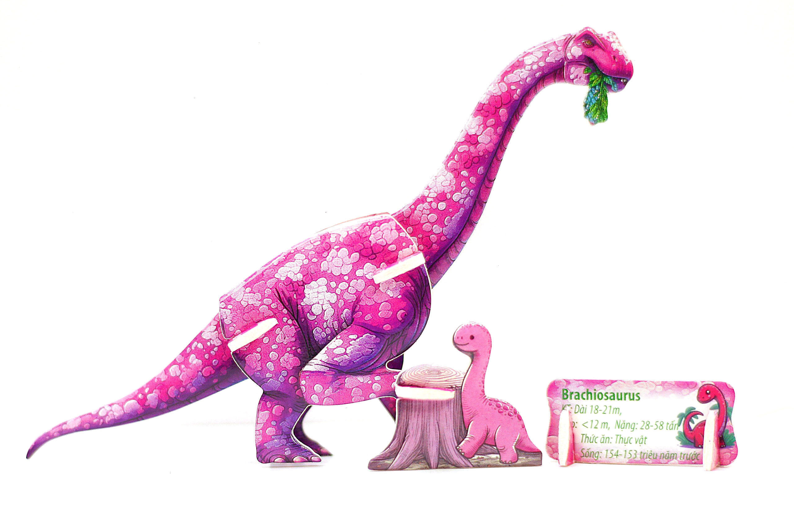 DINO-II (4IN 1)Ráp hình 3D