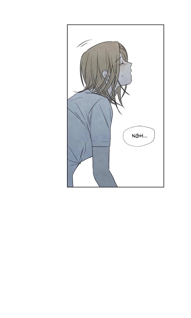 summer solstice point chapter 9 6