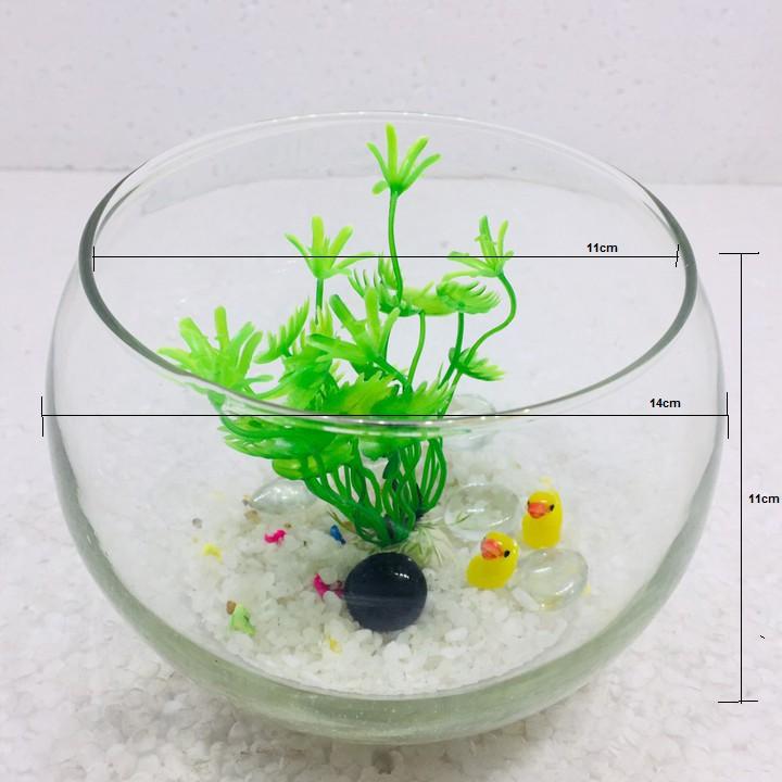 Bể cá mini để bàn tròn - Tặng phụ kiện