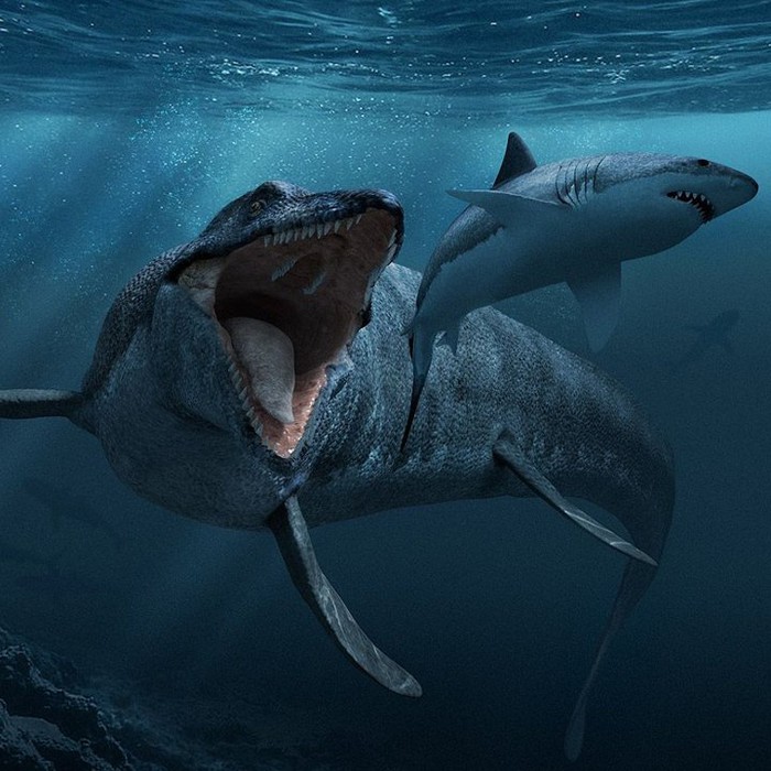 Đồ Chơi Mô Hình Khủng Long Mosasaurus Cho Bé. Loài Thuỷ Quái Vô Đối Của Kỷ Phấn Trắng